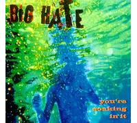Big Hate - You're Soaking in It