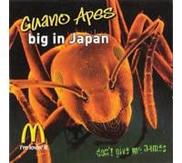 Big In Japan
