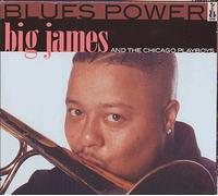 Big James and Chicago Playboys - Big James & The Chicago Playboys