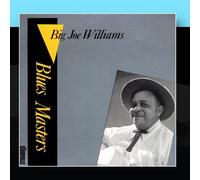 Big Joe Williams - Blues Masters Vol. 2