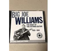 Big Joe Williams - Giant of The 9 String Guit [Import]