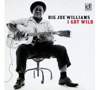 Big Joe Williams - I Got Wild