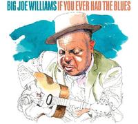 Big Joe Williams - If You Ever Had The Blues [Compact Discs] Ecopak - Biodegradable Pkg
