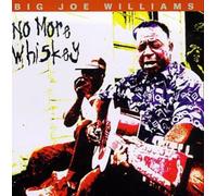 Big Joe Williams - No More Whiskey