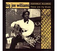 Big Joe Williams - These Are My Blues
