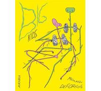 Big Kids - Michael DeForge - Atrabile - relié - Bande dessinée