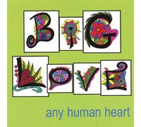 Big Love - Any Human Heart
