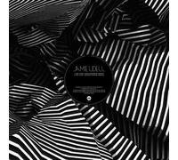 Big Love Remixes – Vinyle – Universal Music Group
