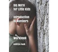 Big Math For Little Kids: Introduction To Numbers (Workbook)