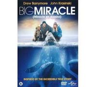 BIG MIRACLE-BILINGUE G