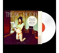 Big Moon - Here Is Everything - Vinyl Record Record - F99z
