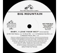 Big Mountain - Baby I Love Your Way [Vinyl LP]