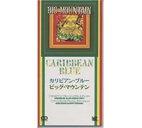 Big Mountain - Caribian Blue [Import]