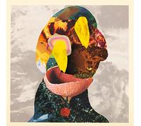 Big Mountain County - Split Ep