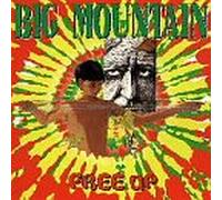 Big Mountain - Free Up