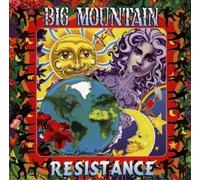 Big Mountain - Resistance by Big Mountain (1995)