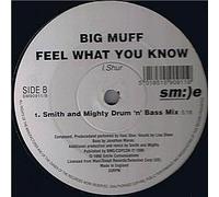 Feel What You Know [Vinyl Maxi-Single]