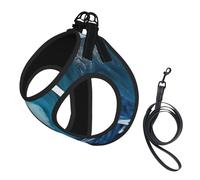 Big Ocean Wave Harnais avec laisse pour petit chien Motif vague HD Pour dressage et promenade