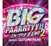 Big Paaartyy in The EDM 2 Mi [Import]