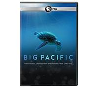 Big Pacific