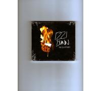 Dunn, Izzi – Big Picture – CD – Import