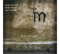 Big Picture With Mark Dresser (CD) Album