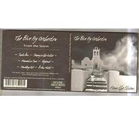 BIG PIG ORCHESTRA - FROM THE STORM - CD