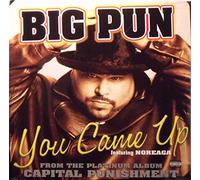 Big Punisher - You Came Up