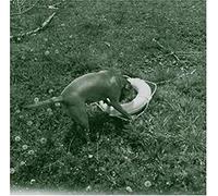 Big Satan - Souls Saved Hear [Import]