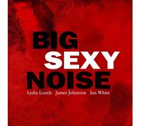 Big Sexy Noise - Collision Course /..