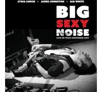 Big Sexy Noise - Live In Italy [VINYL]