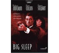 Big Sleep [Import USA Zone 1]