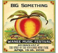 Big Something - Live at Wanee 2016