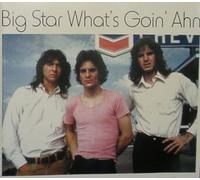 Big Star - What's Goin' Ahn (UK Import)