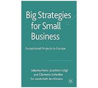 Big Strategies For Small Business