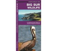 Big Sur Wildlife A Folding Pocket Guide to Familiar Animals by James Kavanagh James Kavanagh (Auteur)
