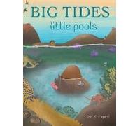 Big Tides Little Pools