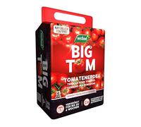 Big Tom Terreau à tomates