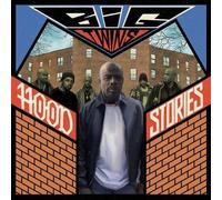 Big Twins - Hood Stories [Vinyl]