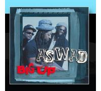 Big Up by Aswad