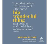 Big Wonderful Thing: A History of Texas [Import]