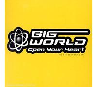 Big World - Open Your Heart