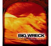 Big Wreck - in Loving Memory of [Import]