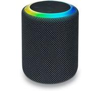 BigBen PARTY - Haut-parleur - pour utilisation mobile - sans fil - Bluetooth 5.1 - 15 Watt - noir Noir, Noir G