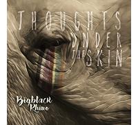 Bigblack Rhino - Thoughts Under The Skin CD [Import]