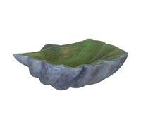 BigBuy Home Centre de Table Coquillage Vert Gris 35 x 28 x 12 cm