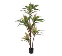 BigBuy Home Plante décorative 160 cm Dracaena Vert