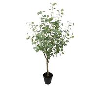 BigBuy Home Plante, Standard