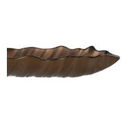 BigBuy Home Plateau Marron Feuille de Plante 31 x 18 cm