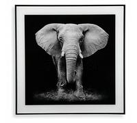 BigBuy Home S3403596 Picture, Elephant, 2 x 50 x 50 cm